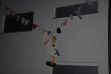 Storch_Markt_008