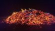 2023.06.17_Herzjesufeuerl_008